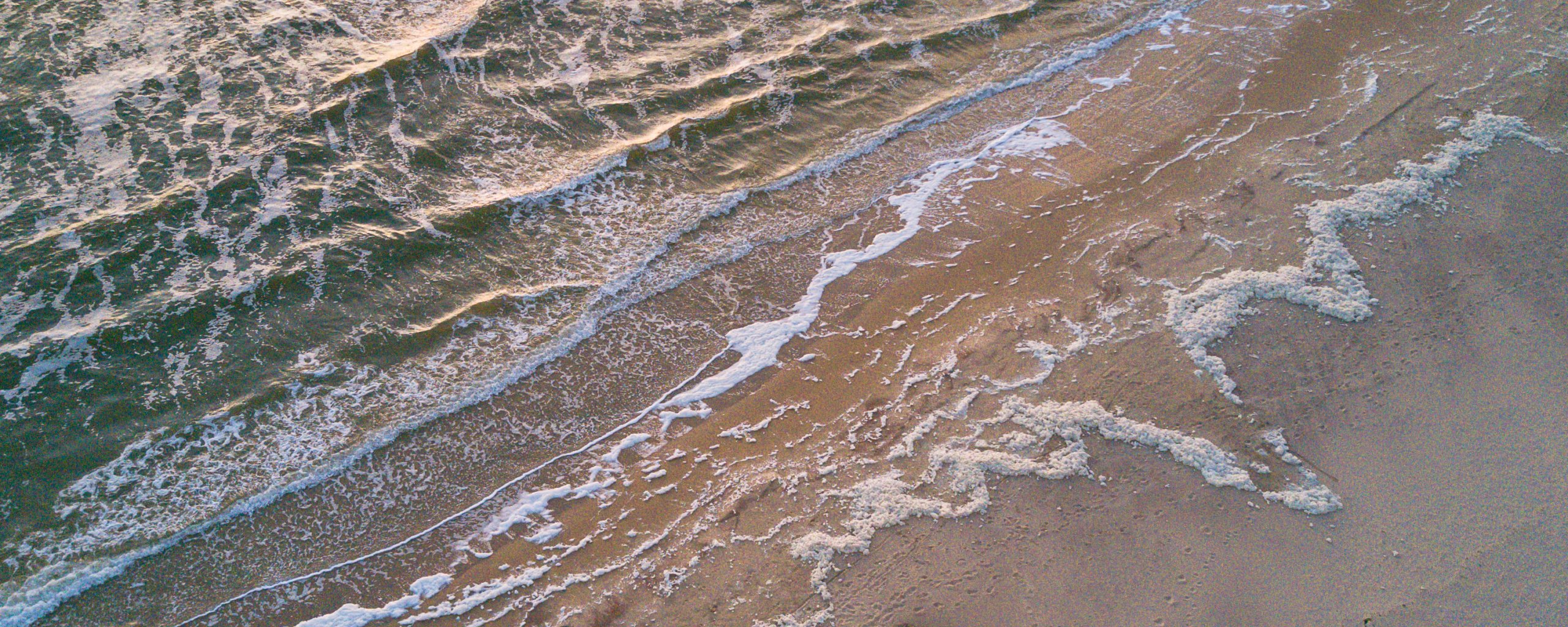 Waddengebied